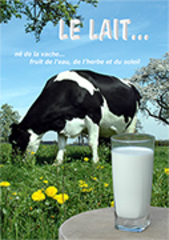 Le lait... né de la vache... fruit de l'eau, de l'herbe et du soleil