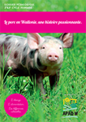 Le porc en Wallonie, une histoire passionnante