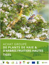 image DARBRES_FRUITIERS_HAUTES_TIGES.png (0.7MB)