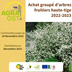 Achat groupé d'arbres fruitiers hautes tiges - Automne 2022/2023