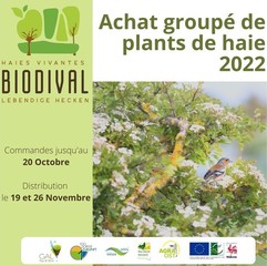 Achat Groupé des GALs : PLANTS DE HAIE  2022